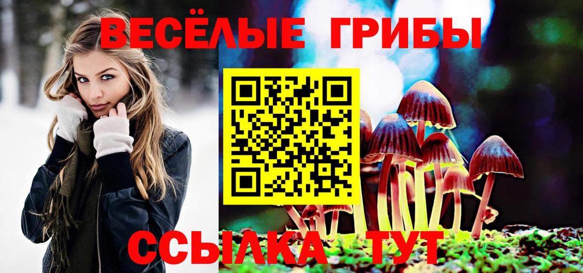 Тайшет  Галлюциногенные грибы Psilocybine cubensis  наркотики  Галлюциногенные грибы мицелий  Вход с VPN 
